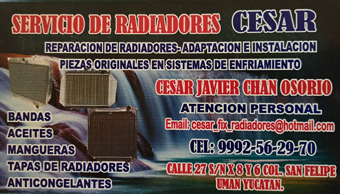 Servicio de Radiadores "Cesar"